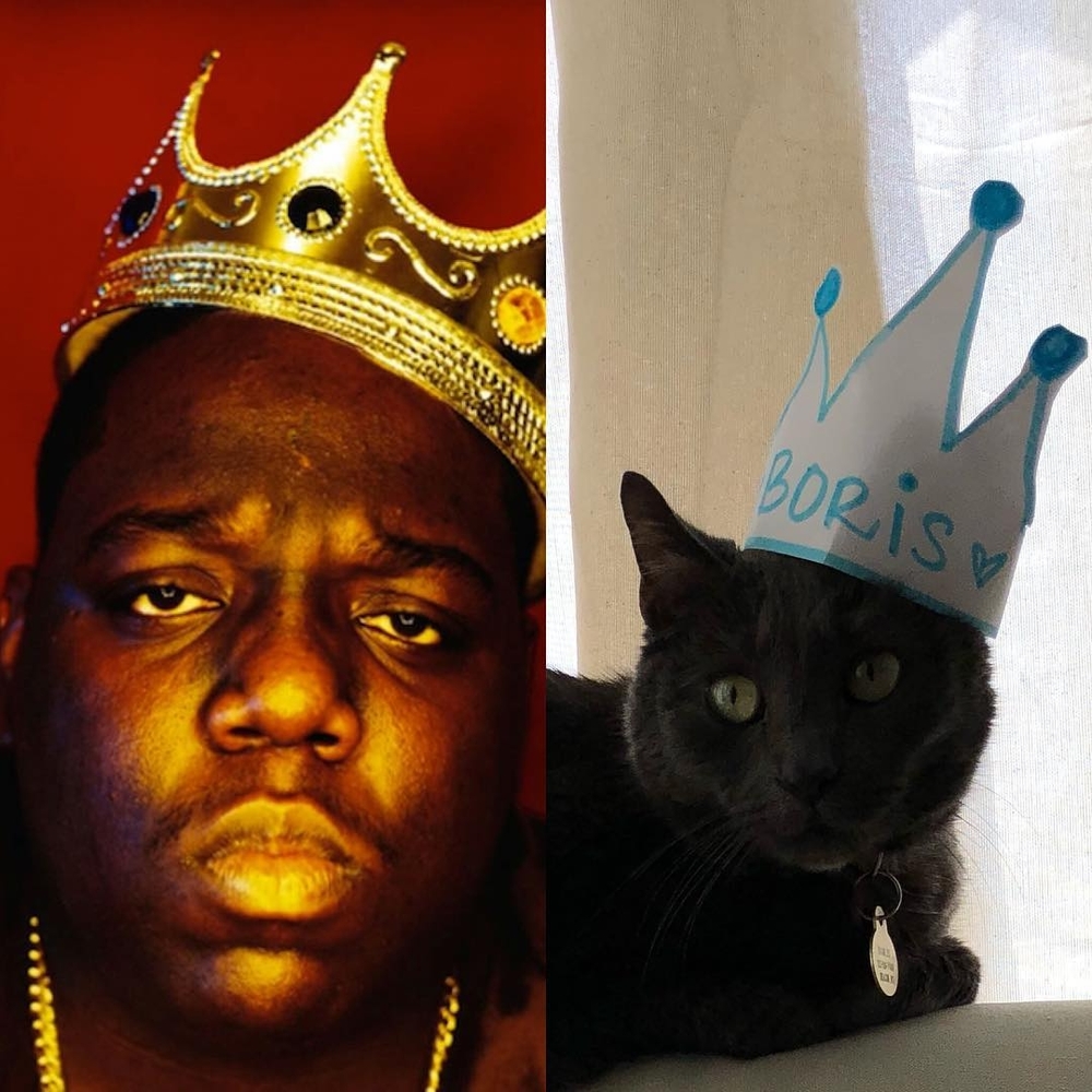 Meet your Posher, Marjorie